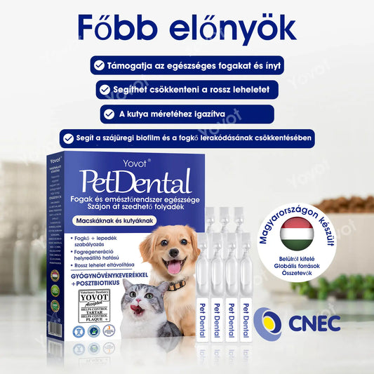 【Hivatalos bolt】Yovot® Pet Dental & Digestive Health szájápoló folyadék – friss lehelet, a fogkő eltávolításának támogatása és az íny regenerációjának elősegítése, a fogak stabilitásának támogatása (kutyák és macskák számára) – Ma akár 70% kedvezmény!