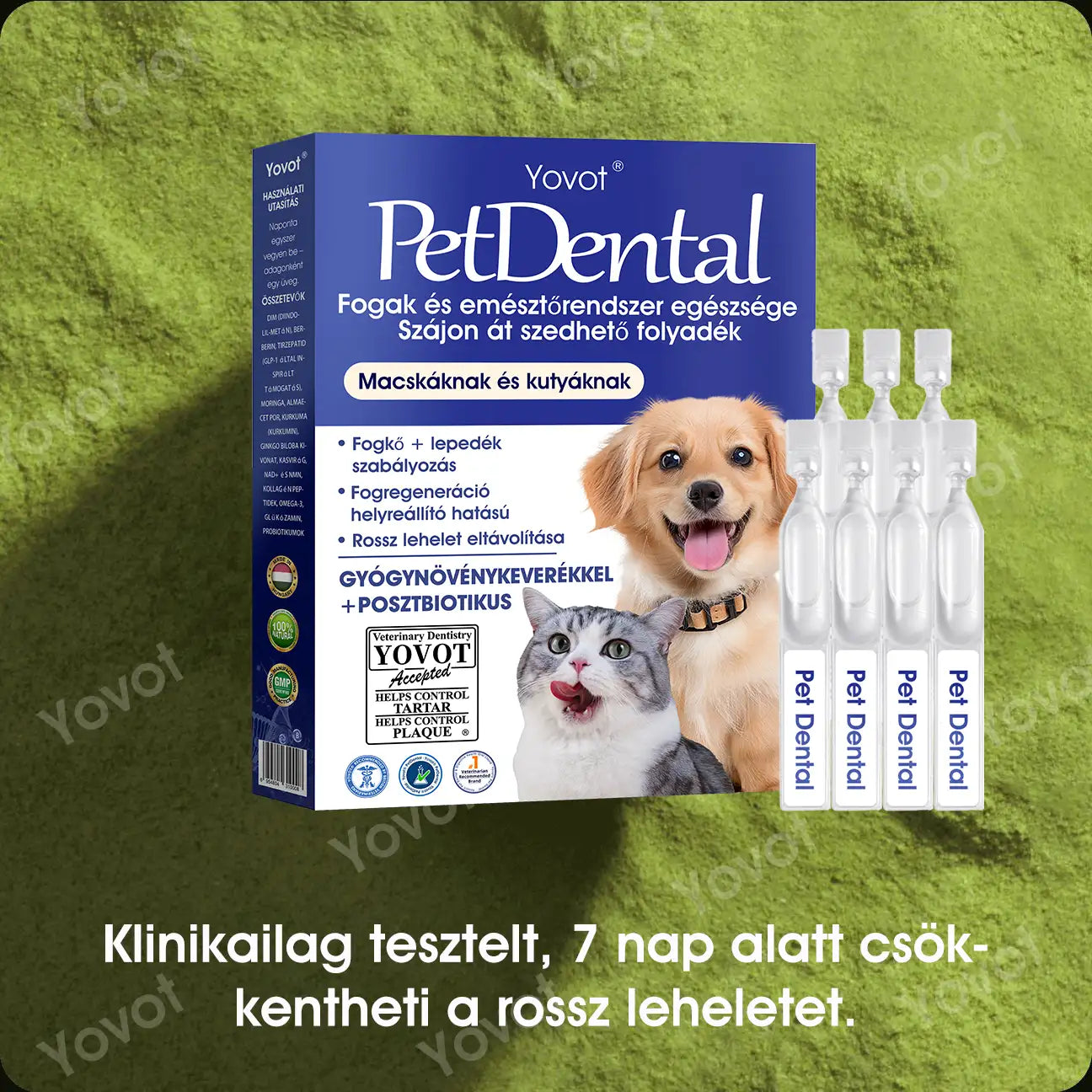 【Hivatalos bolt】Yovot® Pet Dental & Digestive Health szájápoló folyadék – friss lehelet, a fogkő eltávolításának támogatása és az íny regenerációjának elősegítése, a fogak stabilitásának támogatása (kutyák és macskák számára) – Ma akár 70% kedvezmény!