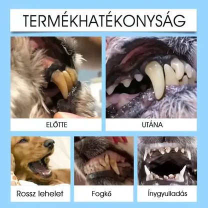 【Hivatalos bolt】Yovot® Pet Dental & Digestive Health szájápoló folyadék – friss lehelet, a fogkő eltávolításának támogatása és az íny regenerációjának elősegítése, a fogak stabilitásának támogatása (kutyák és macskák számára) – Ma akár 70% kedvezmény!