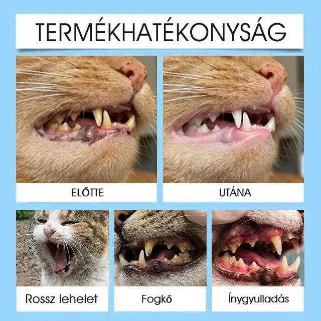 【Hivatalos bolt】Yovot® Pet Dental & Digestive Health szájápoló folyadék – friss lehelet, a fogkő eltávolításának támogatása és az íny regenerációjának elősegítése, a fogak stabilitásának támogatása (kutyák és macskák számára) – Ma akár 70% kedvezmény!