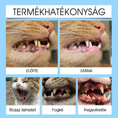 【Hivatalos bolt】Yovot® Pet Dental & Digestive Health szájápoló folyadék – friss lehelet, a fogkő eltávolításának támogatása és az íny regenerációjának elősegítése, a fogak stabilitásának támogatása (kutyák és macskák számára) – Ma akár 70% kedvezmény!