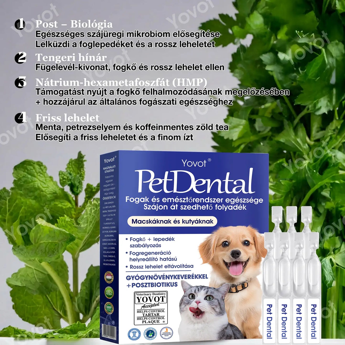 【Hivatalos bolt】Yovot® Pet Dental & Digestive Health szájápoló folyadék – friss lehelet, a fogkő eltávolításának támogatása és az íny regenerációjának elősegítése, a fogak stabilitásának támogatása (kutyák és macskák számára) – Ma akár 70% kedvezmény!